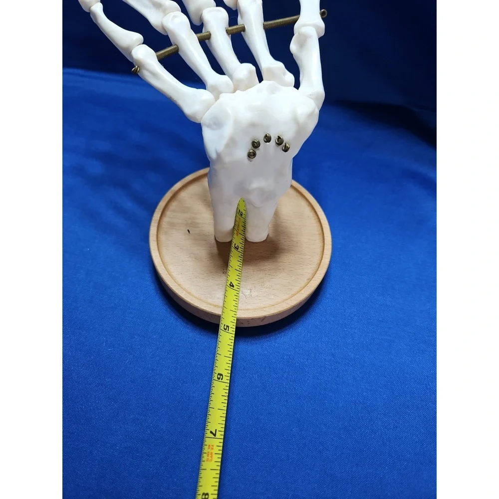 Skeleton Hand Jewelry Stand Ring Necklace Holder Gothic Halloween Life-Size
